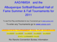 nmsoftball.com