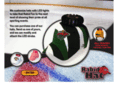rabidhat.com