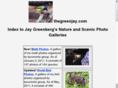 thegreenjay.com