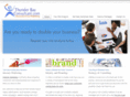 thunderbayconsultant.com