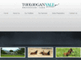 toolooganvale.com