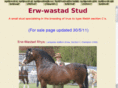 erw-wastad.com