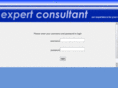 expert-consultant.org