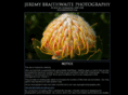 jbraithwaite.com