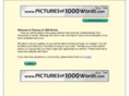 picturesof1000words.com