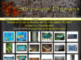 shipwormdesigns.com