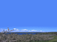 appleblossomscenter.com