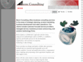 bermconsulting.com