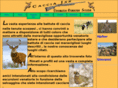 cacciainn.com