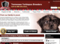 tennesseeyorkiepoobreeders.com