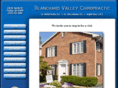 bvchiro.com