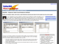 callerrm.com