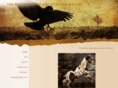 rusticravenstudio.com