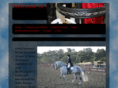 sorensen-dressage.com
