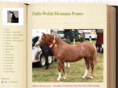 dalluwelshstud.com