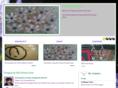 doreenlono.com