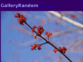galleryrandom.com