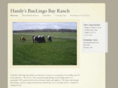 hanilybuelingobayranch.com