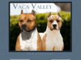 vacavalleyamstaffs.com