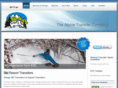 alpine-transfer-company.com
