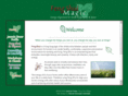 fengshuimagic.com