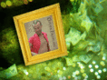 piratefruitcake.com