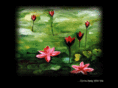 soheli.com
