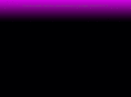 capinstitut.com