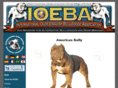 ioeba.net