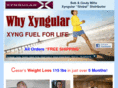teamxyngularglobal.com