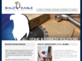 baldeaglesolutions.com