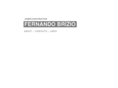 fernando-brizio.com