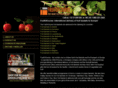 fruitofcourse.com