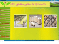 msgoldenfiber.com