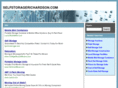 selfstoragerichardson.com