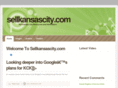 sellkansascity.com