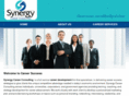 synergycareer.com