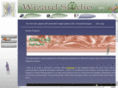 wsneo.com