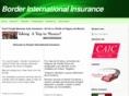 borderinsurancemx.com