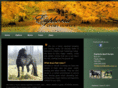 euphoriasporthorses.com