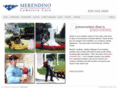 merendino-cc.com