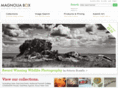 myphotoblox.com