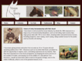 visionofunityhorsemanship.com