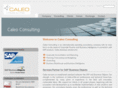 caleo-consulting.com