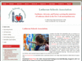 lsany.org