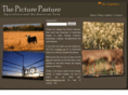 picturepasture.com