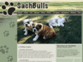 sachbulls.com