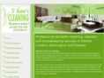 stannescleaning.com