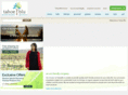 tahoeblu.com