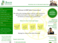 b2bsalesconnections.com
